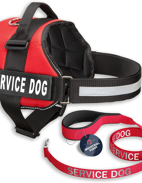 Load image into Gallery viewer, Service Dog Vest with Hook and Loop Straps &amp; Matching Service Dog Leash Set - Harnesses from XXS to XXL - Service Dog Harness Features Reflective Patch and Comfortable Mesh Design
