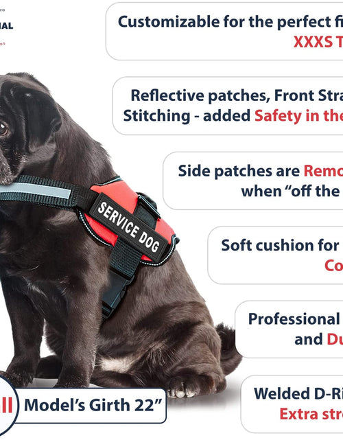 Load image into Gallery viewer, Service Dog Vest with Hook and Loop Straps &amp; Matching Service Dog Leash Set - Harnesses from XXS to XXL - Service Dog Harness Features Reflective Patch and Comfortable Mesh Design
