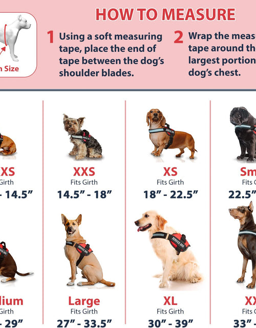 Load image into Gallery viewer, Service Dog Vest with Hook and Loop Straps &amp; Matching Service Dog Leash Set - Harnesses from XXS to XXL - Service Dog Harness Features Reflective Patch and Comfortable Mesh Design
